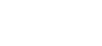 Logo Vdds